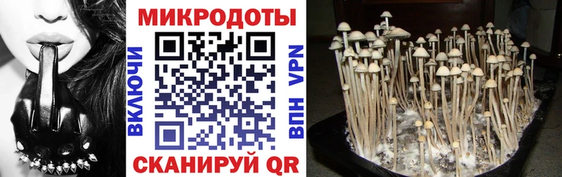 Псилоцибиновые грибы прущие грибы  Аткарск 